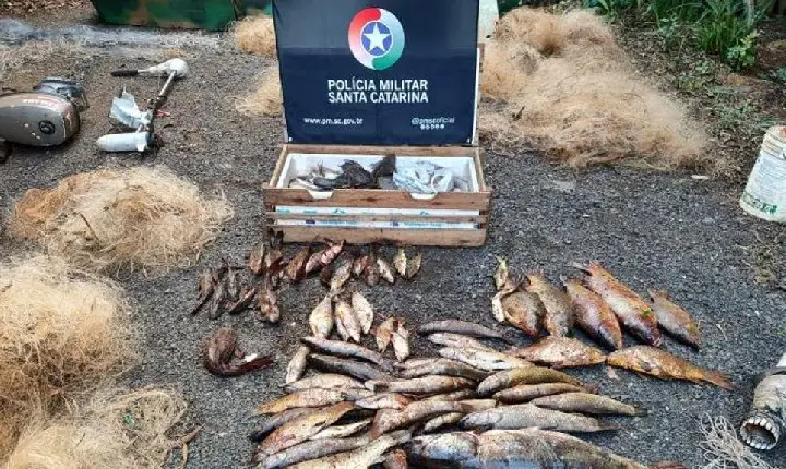 Acampamento de pesca ilegal é flagrado em período de defeso em Vargem