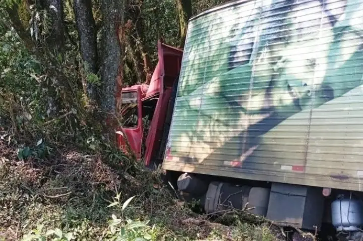 Caminhão colide contra árvores após sair da pista na BR-153