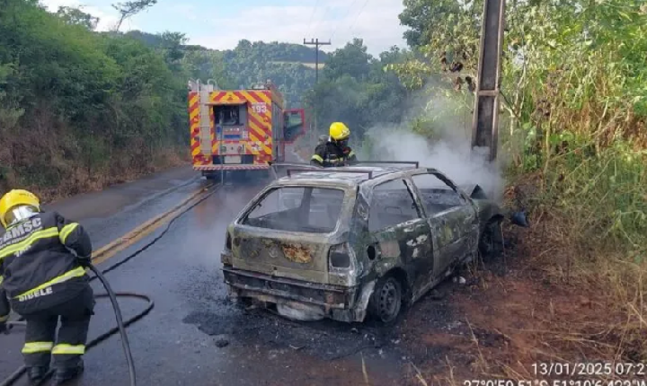 Carro bate em poste e pega fogo