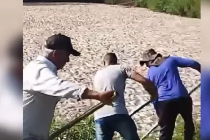 “É muito peixe”: Falha elétrica mata mais de 150 mil peixes em tanque no Paraná