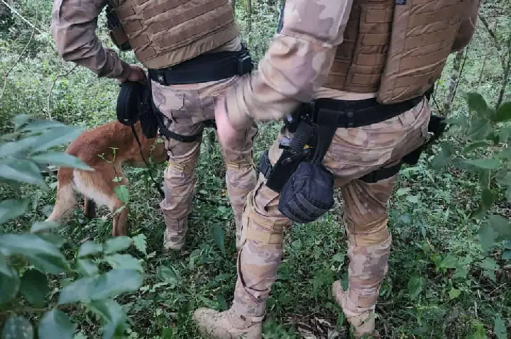 Homem procurado pela justiça é capturado após perseguição em Anita Garibaldi