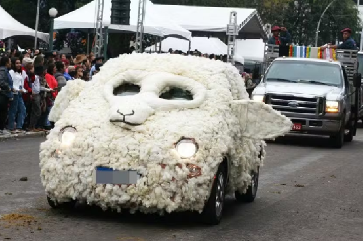 Para promover ovinocultura, filha de criadores 'transforma' carro em ovelha no RS