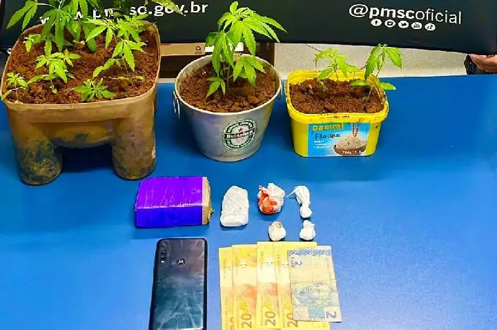 PM prende jovem de 21 anos que cultivava maconha em casa em Caçador