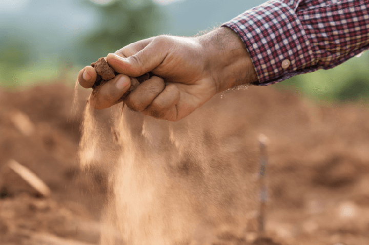 Seca compromete produção agrícola e afeta mais de mil famílias em Campos Novos.