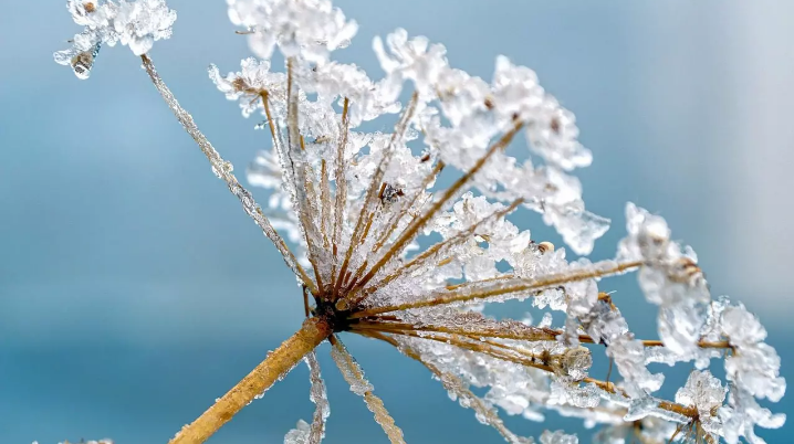 Julho começa com previsão de frio intenso no Sul do Brasil; confira