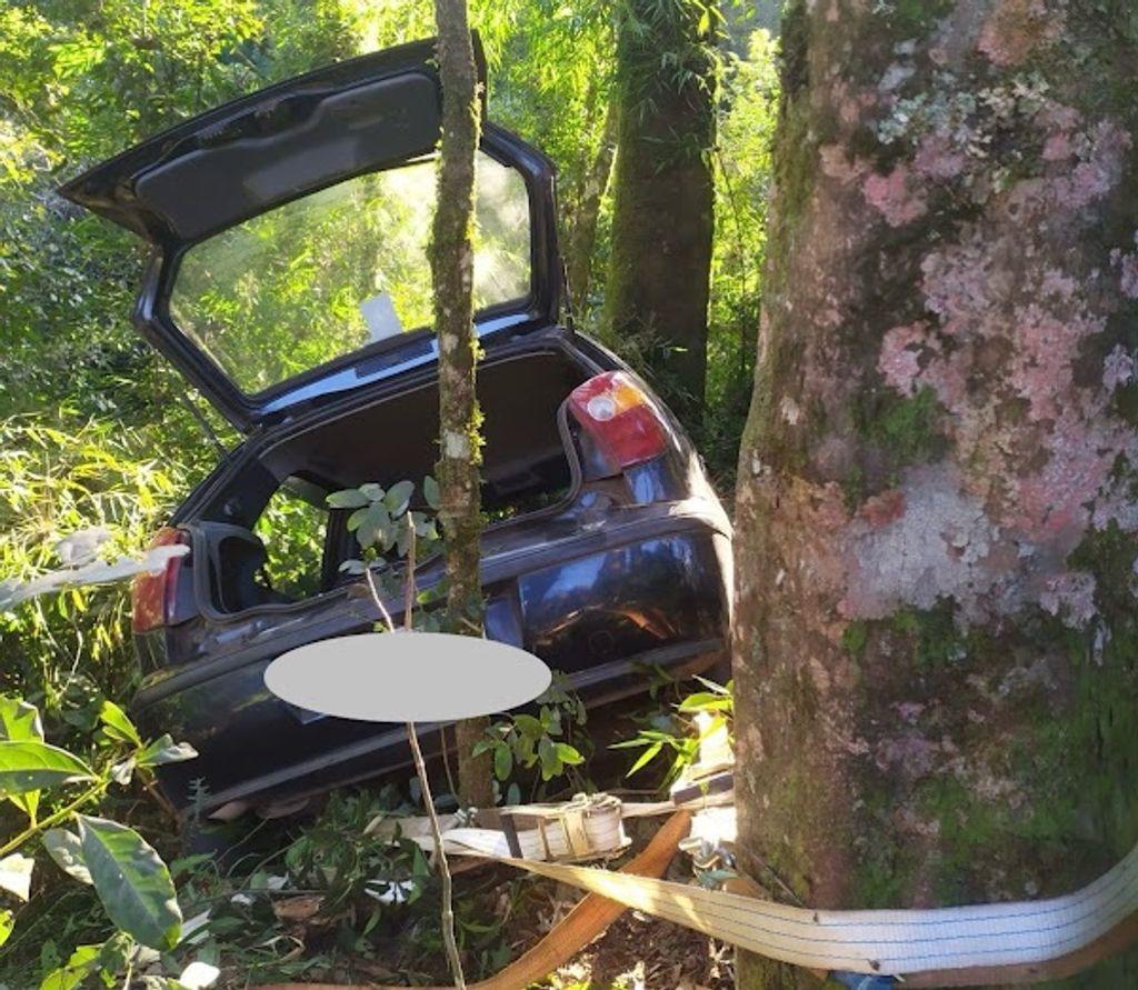 Veículo com placas de Joaçaba sai da pista e colide em árvore