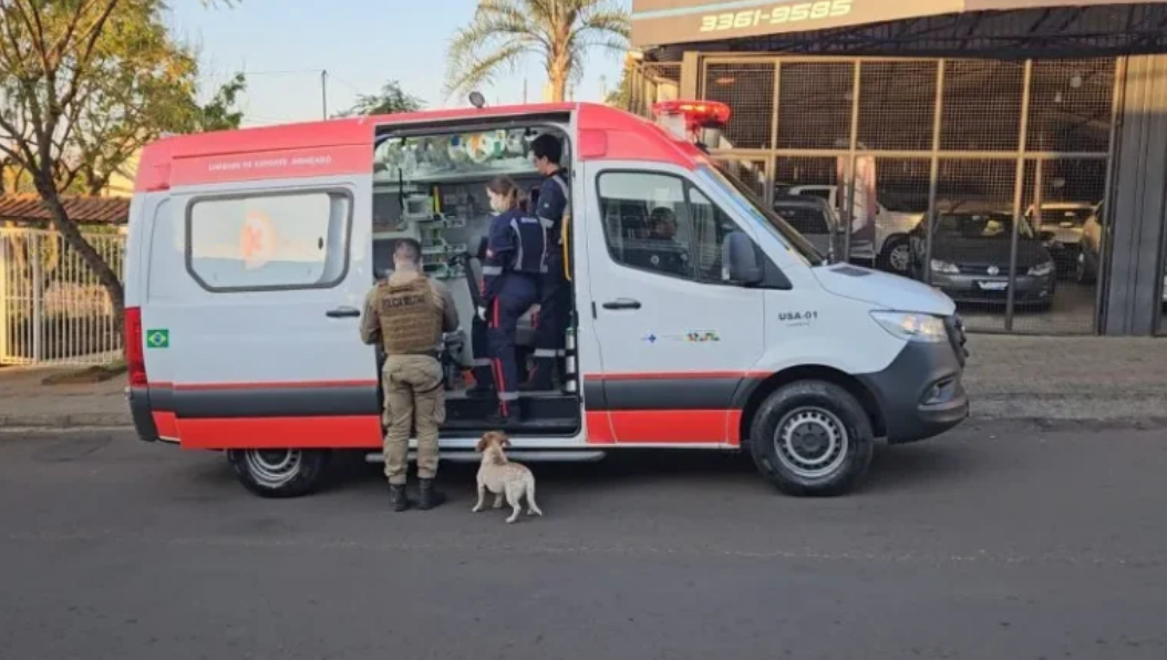 Cães não saem do lado de ambulância enquanto dono é atendido no oeste de SC