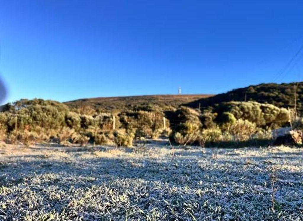 Semana começa com temperaturas negativas em todo o Estado