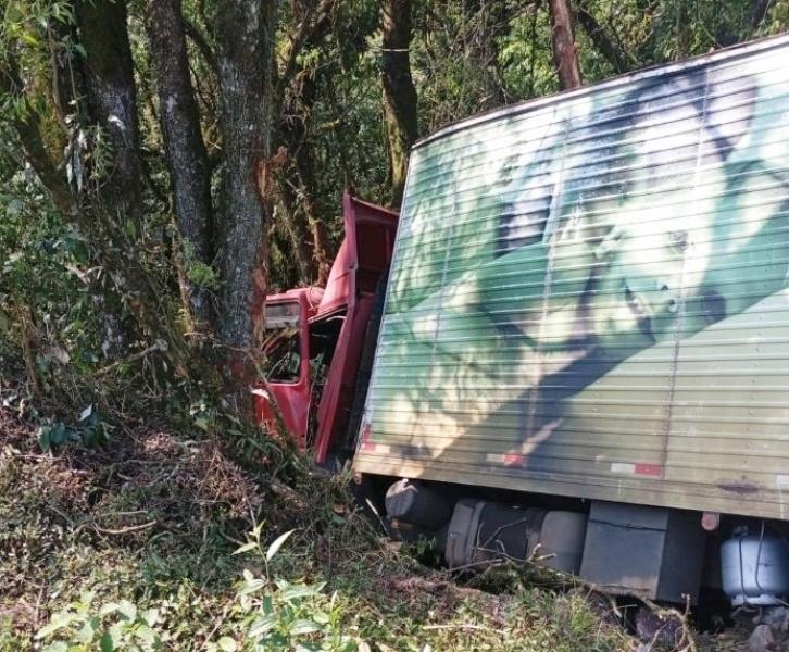 Caminhão colide contra árvores após sair da pista na BR-153