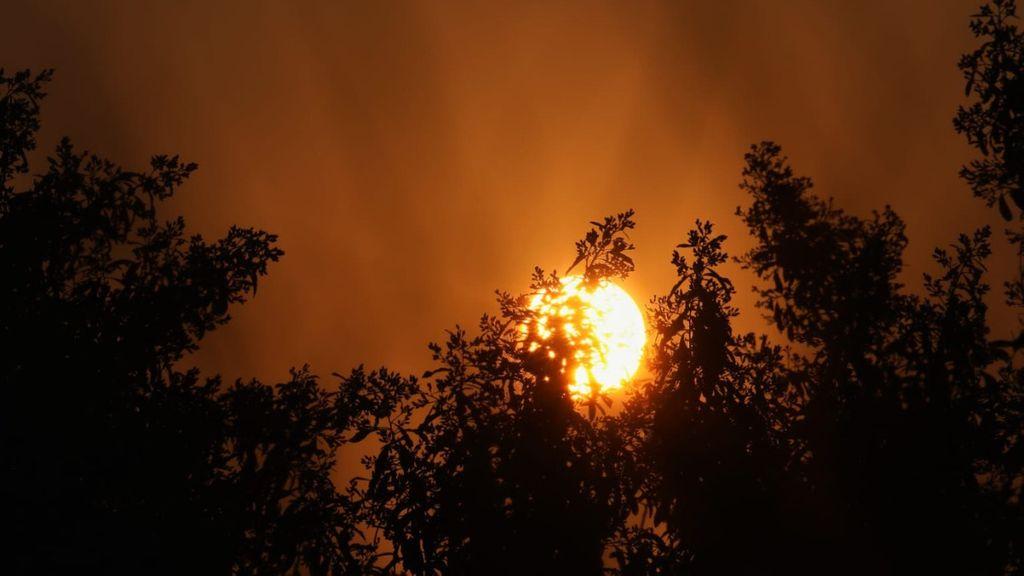 Olhos secos e doenças respiratórias: como as fumaças da Amazônia impactam na saúde em SC