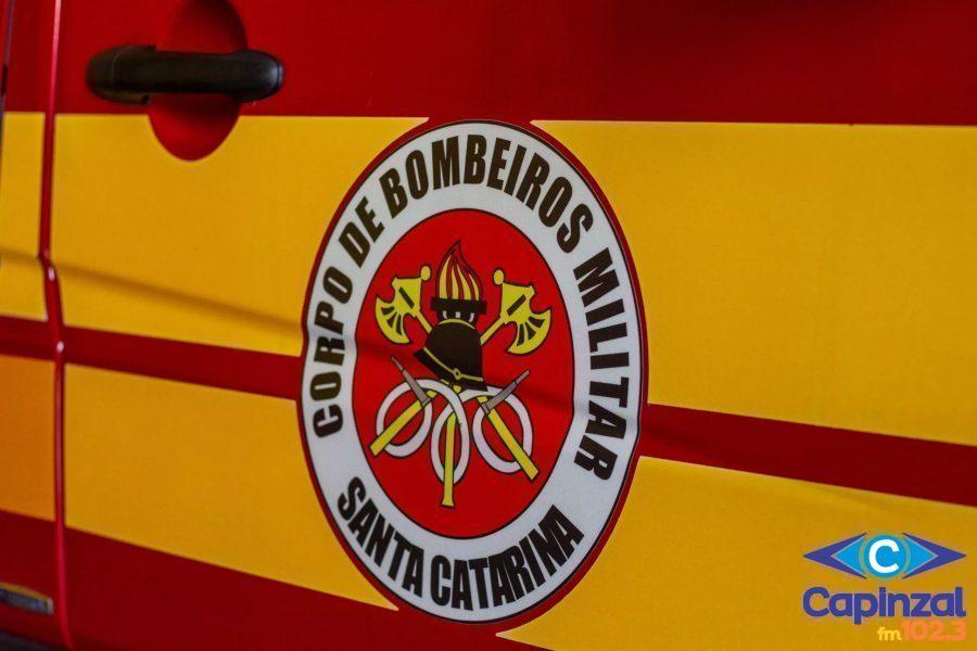 Bombeiros capturam jararaca em empresa de Capinzal