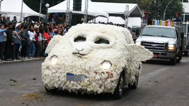 Para promover ovinocultura, filha de criadores 'transforma' carro em ovelha no RS