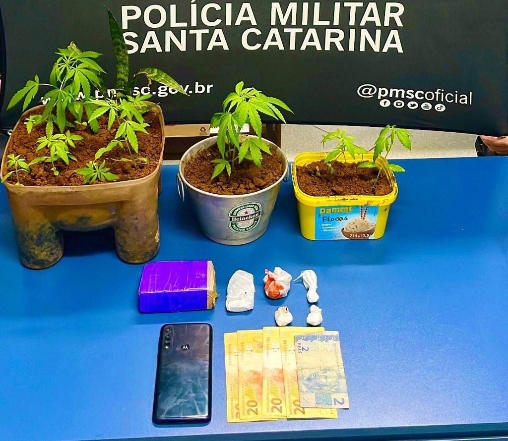 PM prende jovem de 21 anos que cultivava maconha em casa em Caçador