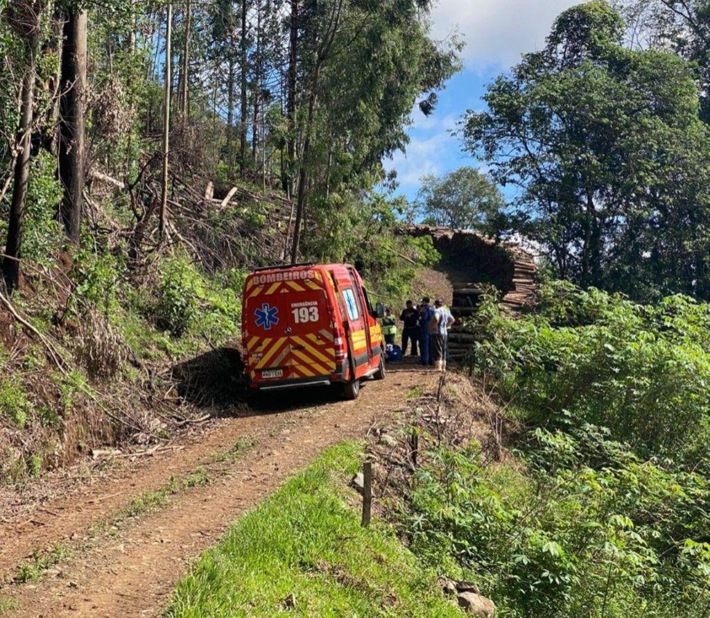 Trabalhador morre durante corte de árvores no Oeste