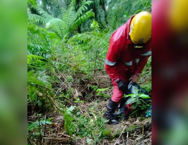 Bombeiros retomam buscas por desaparecidos há duas noites em serra da região de Curitiba