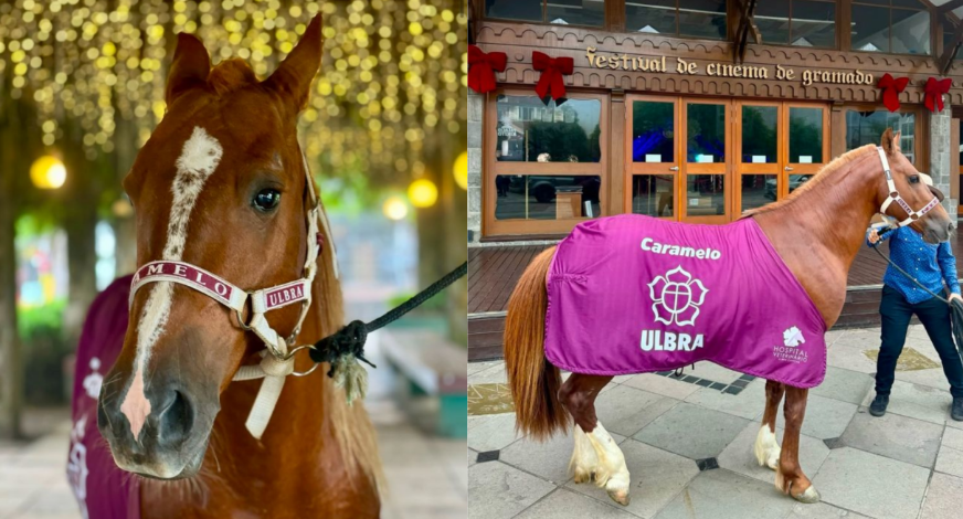 Cavalo Caramelo, símbolo das enchentes no RS, é oficialmente adotado