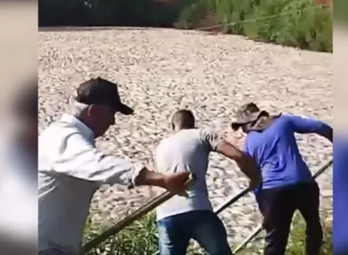 “É muito peixe”: Falha elétrica mata mais de 150 mil peixes em tanque no Paraná