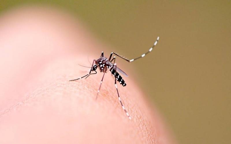 Estado segue em alerta com mais de 2 mil casos prováveis de dengue