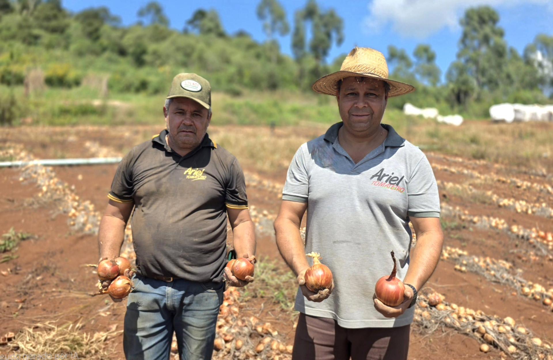 Com apoio da Coocam, hortifruti se expande em Lebon Régis.