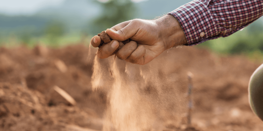 Seca compromete produção agrícola e afeta mais de mil famílias em Campos Novos.